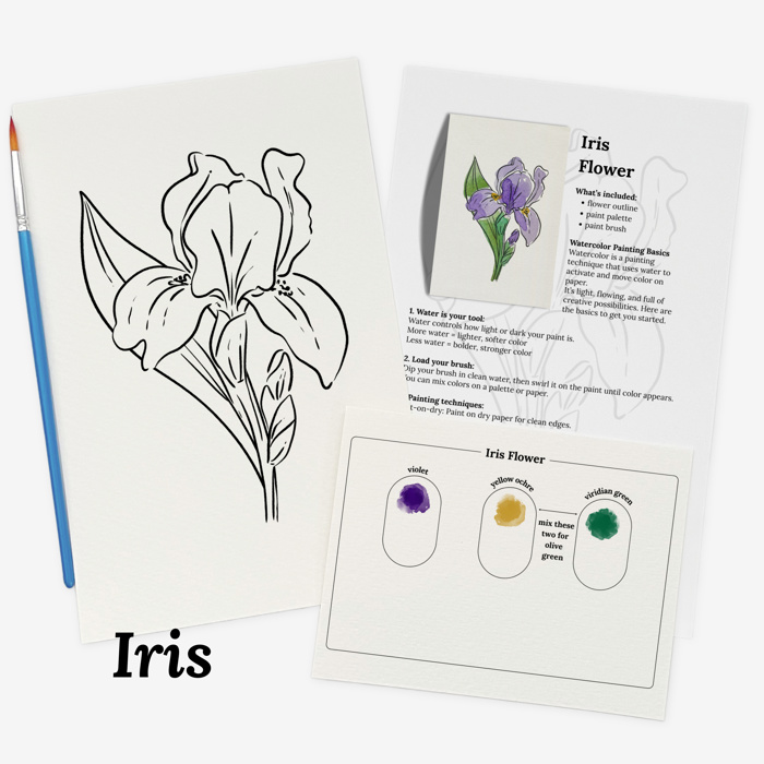 Set of 4 Watercolor Paint Kits | Floral Sketches, Brushes & Palettes | 12 Flower Options