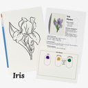  Set of 4 Watercolor Paint Kits | Floral Sketches, Brushes & Palettes | 12 Flower Options