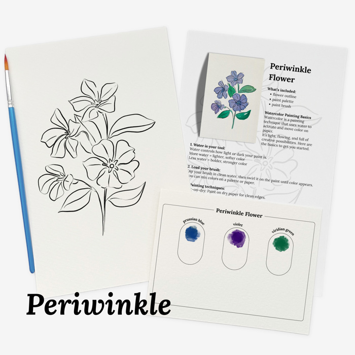 Set of 4 Watercolor Paint Kits | Floral Sketches, Brushes & Palettes | 12 Flower Options