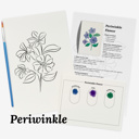  Set of 4 Watercolor Paint Kits | Floral Sketches, Brushes & Palettes | 12 Flower Options