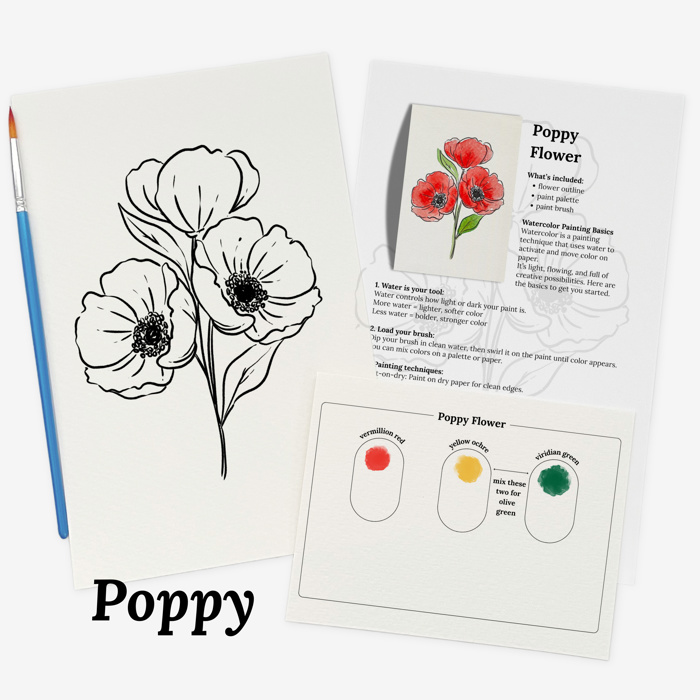 Set of 4 Watercolor Paint Kits | Floral Sketches, Brushes & Palettes | 12 Flower Options