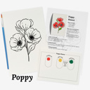  Set of 4 Watercolor Paint Kits | Floral Sketches, Brushes & Palettes | 12 Flower Options