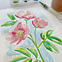  Wild Rose Watercolor Paint Kit | Pre-Sketched Art Set Just Add Water