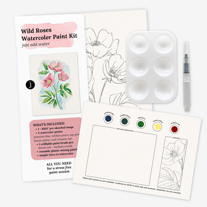 Wild Rose Watercolor Paint Kit | Pre-Sketched Art Set Just Add Water