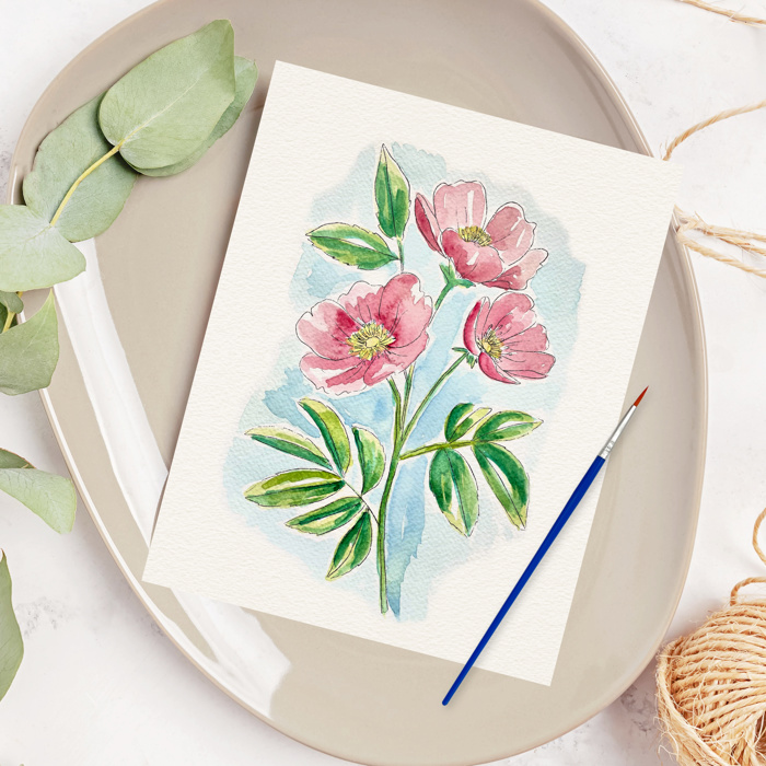 Wild Rose Watercolor Paint Kit | Pre-Sketched Art Set Just Add Water