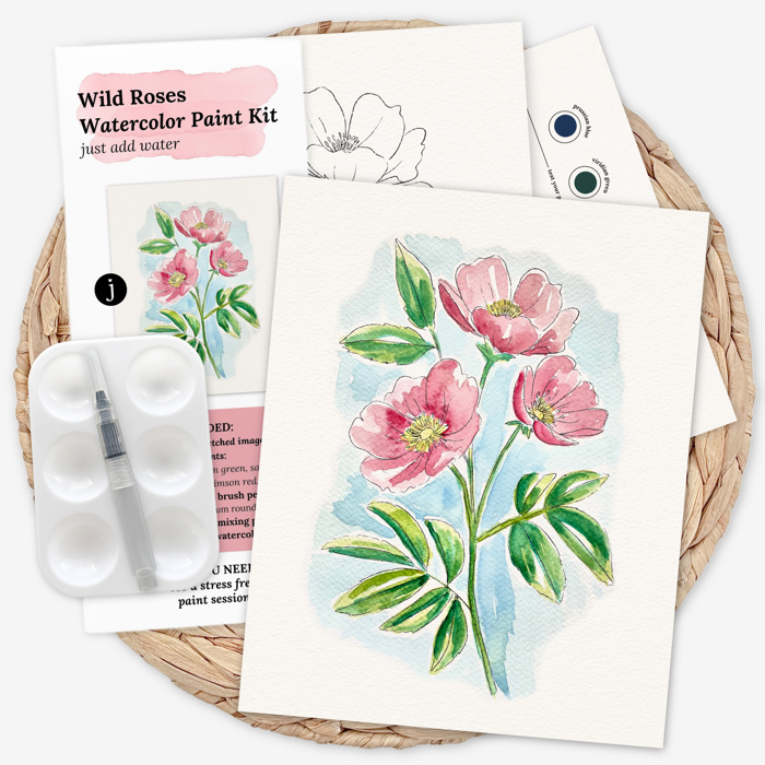 Wild Rose Watercolor Paint Kit | Pre-Sketched Art Set Just Add Water