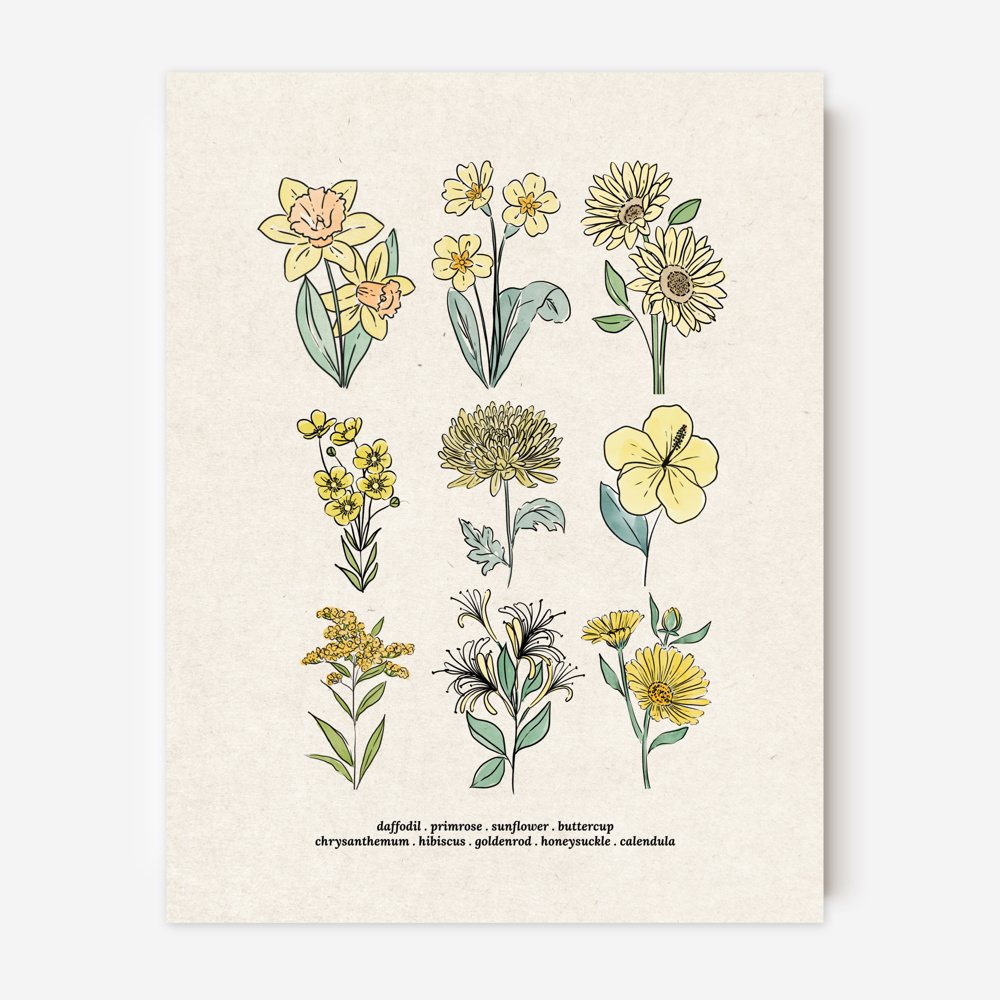 Flower Chart Art Prints | Unframed Floral Illustrations