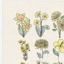  Flower Chart Art Prints | Unframed Floral Illustrations