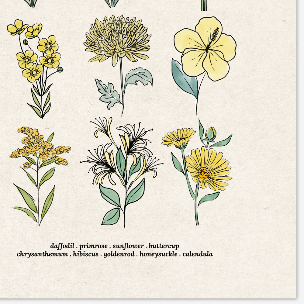 Flower Chart Art Prints | Unframed Floral Illustrations