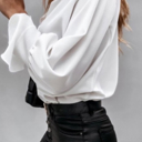  V Neck Long Puff Sleeve Top | 2 Colors |
