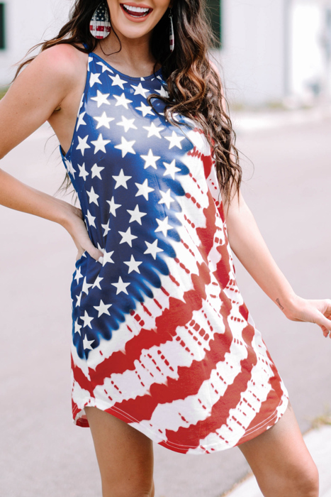 USA Flag Star Print Mini Dress