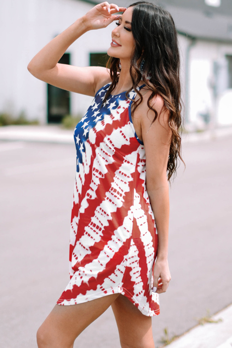 USA Flag Star Print Mini Dress