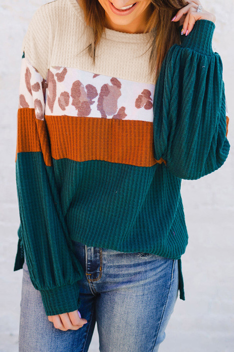 Leopard Color Block Long Sleeve Top