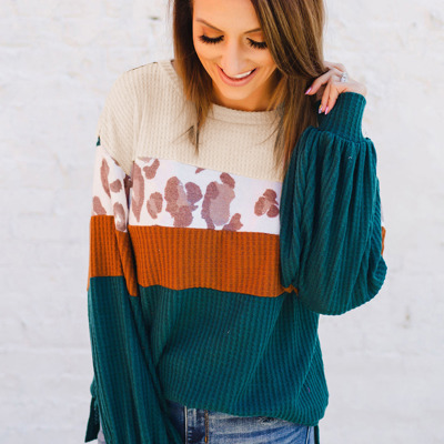 Leopard Color Block Long Sleeve Top