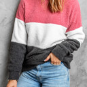  Colorblock Plush Sweatshirt | 2 Colors |