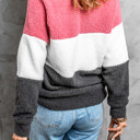  Colorblock Plush Sweatshirt | 2 Colors |
