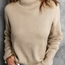  Turtleneck Ribbed Knit Sweater