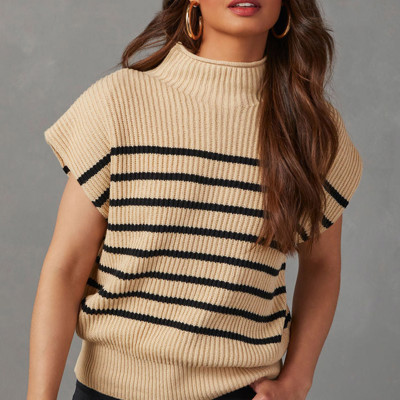 Parchment Striped Ribbed Knit High Neck Sweater