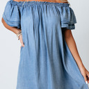  Denim Ruffled Short Sleeve Mini Dress