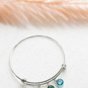Silver Plated Birthstone Charm Bangle Bracelet