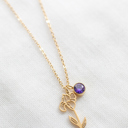 February Dainty Birthstone & Birth Flower Necklaces