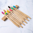 Adult Rainbow Set Pack of 10 Adults/Kids Natural Bamboo Wooden Toothbrushes