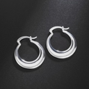 Silver Plated 925 Sterling Silver Elegant Round Hoop Earrings