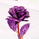 Purple 24k Gold Plated Foil Rose Flower Unique Gift