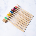 Adult Rainbow Set Pack of 10 Adults/Kids Natural Bamboo Wooden Toothbrushes