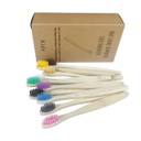 Kids Rainbow Set Pack of 10 Adults/Kids Natural Bamboo Wooden Toothbrushes