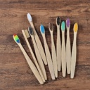 Kids Rainbow Set Pack of 10 Adults/Kids Natural Bamboo Wooden Toothbrushes