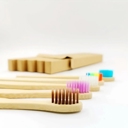 Kids Rainbow Set Pack of 10 Adults/Kids Natural Bamboo Wooden Toothbrushes