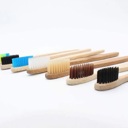 Kids Rainbow Set Pack of 10 Adults/Kids Natural Bamboo Wooden Toothbrushes