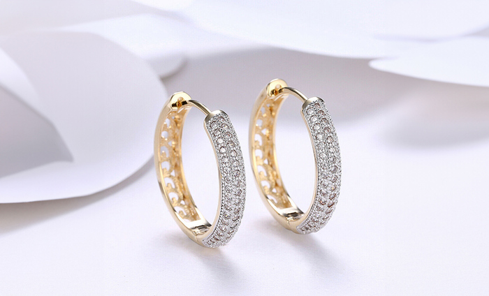 Classic Round18K Gold Plated Crystal Cubic Zirconia Pave Hoop Earrings 