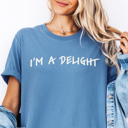  I'm A Delight Funny Sarcastic Graphic Tee