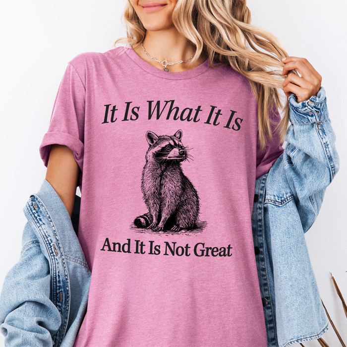 It Is What It Is Funny Raccoon Animal Graphic Tee