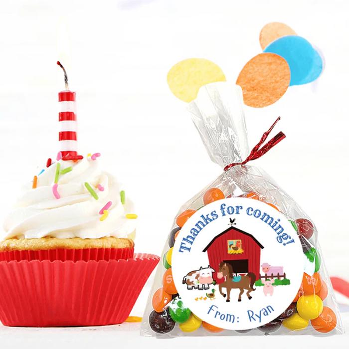Personalized Boys Birthday Party Stickers & Treat Bags