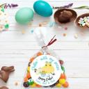  Easter Party Stickers / Cake Toppers Personalized with Treat Bags