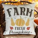  Fall Home Decor Charming Farmhouse Pillow Accent Covers