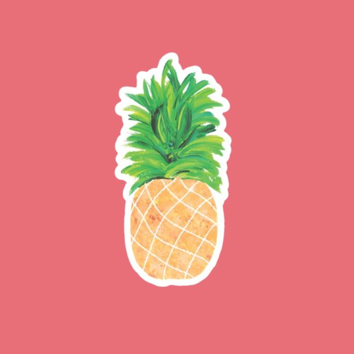 Assorted Die Cut Stickers Waterproof Water Bottle Laptop Vinyl