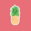  Assorted Die Cut Stickers Waterproof Water Bottle Laptop Vinyl