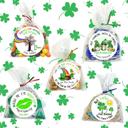  Personalized St. Patrick's Green Leprechaun Party Stickers & Loot Bags