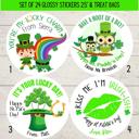  Personalized St. Patrick's Green Leprechaun Party Stickers & Loot Bags