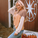  Color Block Long Sleeve Ribbed Loose Top