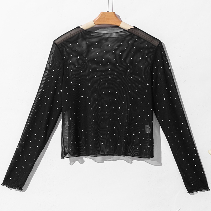 Black Rhinestone Sheer Mesh Slim Fit Long Sleeve Top