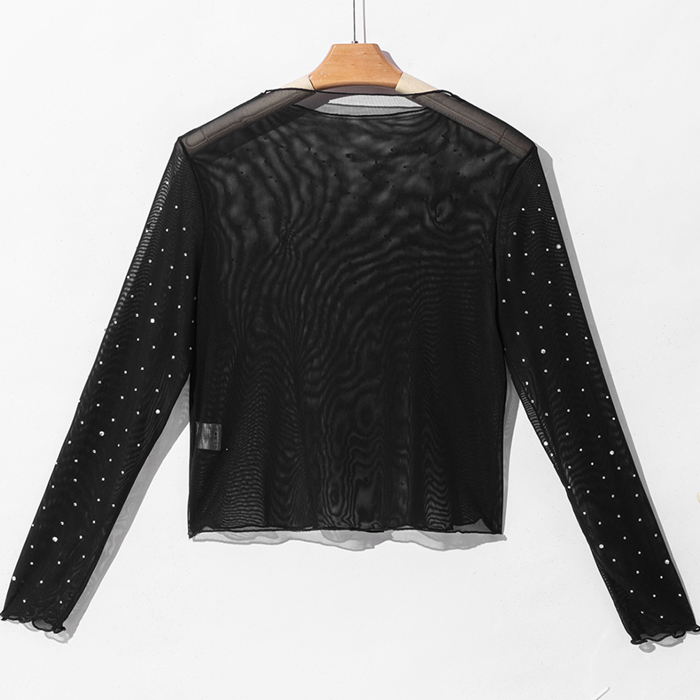 Black Rhinestone Sheer Mesh Slim Fit Long Sleeve Top