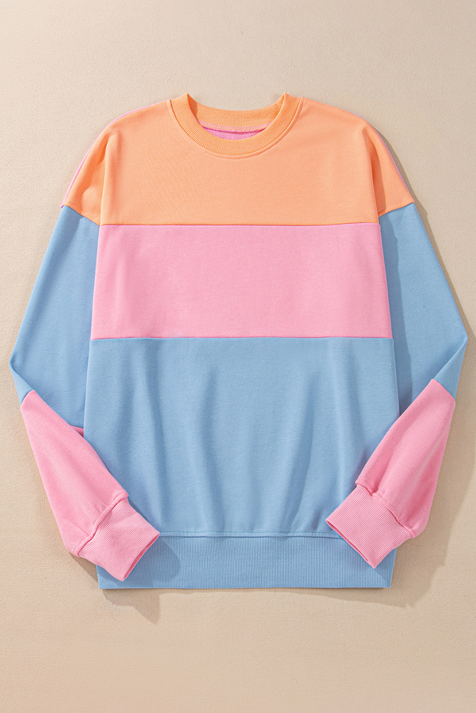 Colorblock Patchwork Drop Shoulder Sweatshirt