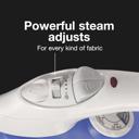  Proctor Silex Non-Stick Adjustable Steam Iron with Spray and Steam-Burst