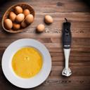 Black Better Chef 200W DualPro Immersion Blender Hand-Mixer with Cup and Beater