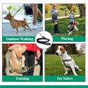  K9king 6' Biothane Long Dog Leash | Heavy Duty Dog Leash for Outdoor Walking - Training and Play | Suitable for Small - Medium and Large Dogs | Ideal Dog Stuff for Safety - Beach - Yard and Camping